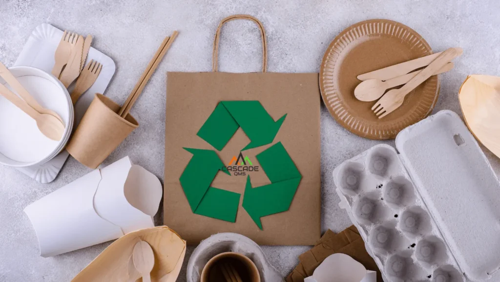 Recyclable plate, wooden plasticware, egg carton, and paper bag.