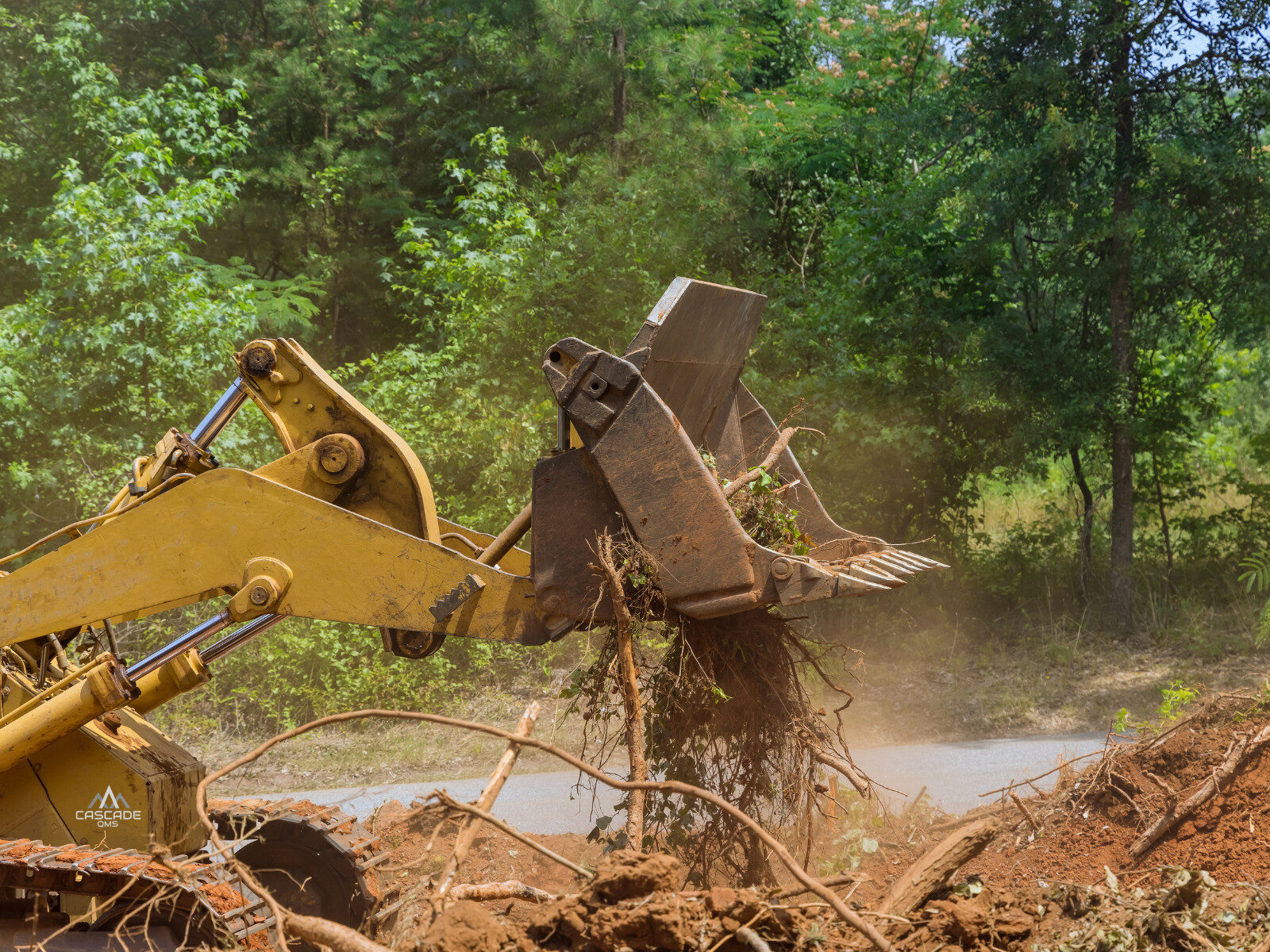 land clearing by heavy machinery contractor for power and energy industry